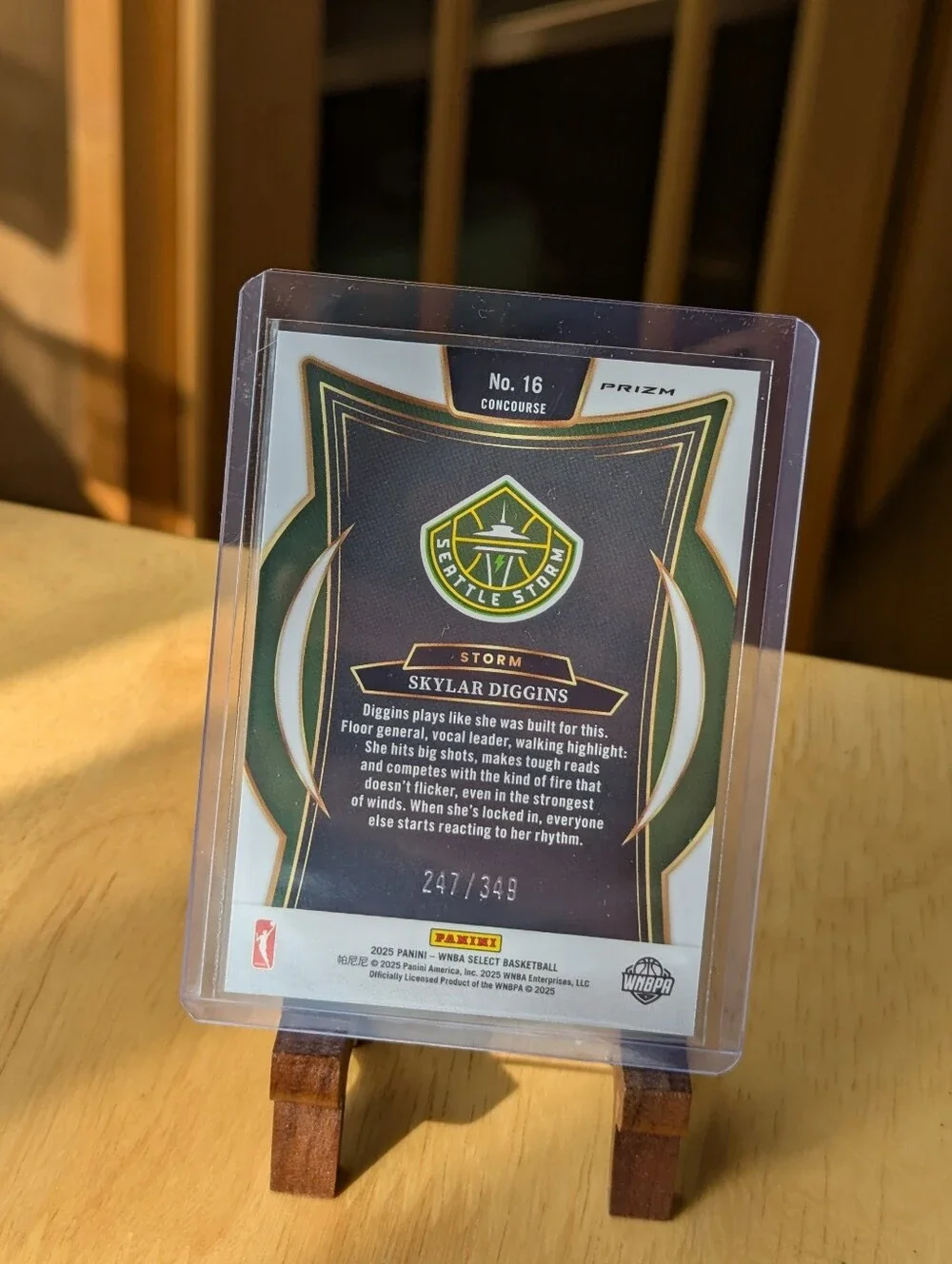 Panini near mint